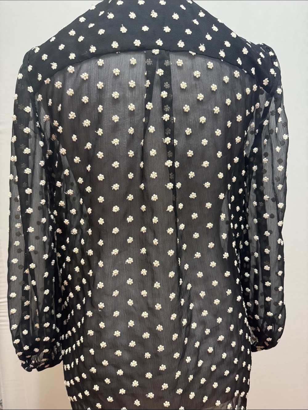 Alice + Olivia Floral Embroidery Button-Front  Sheer Blouse - Picture 10 of 11